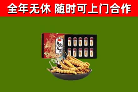青冈县烟酒回收冬虫夏草礼盒.jpg